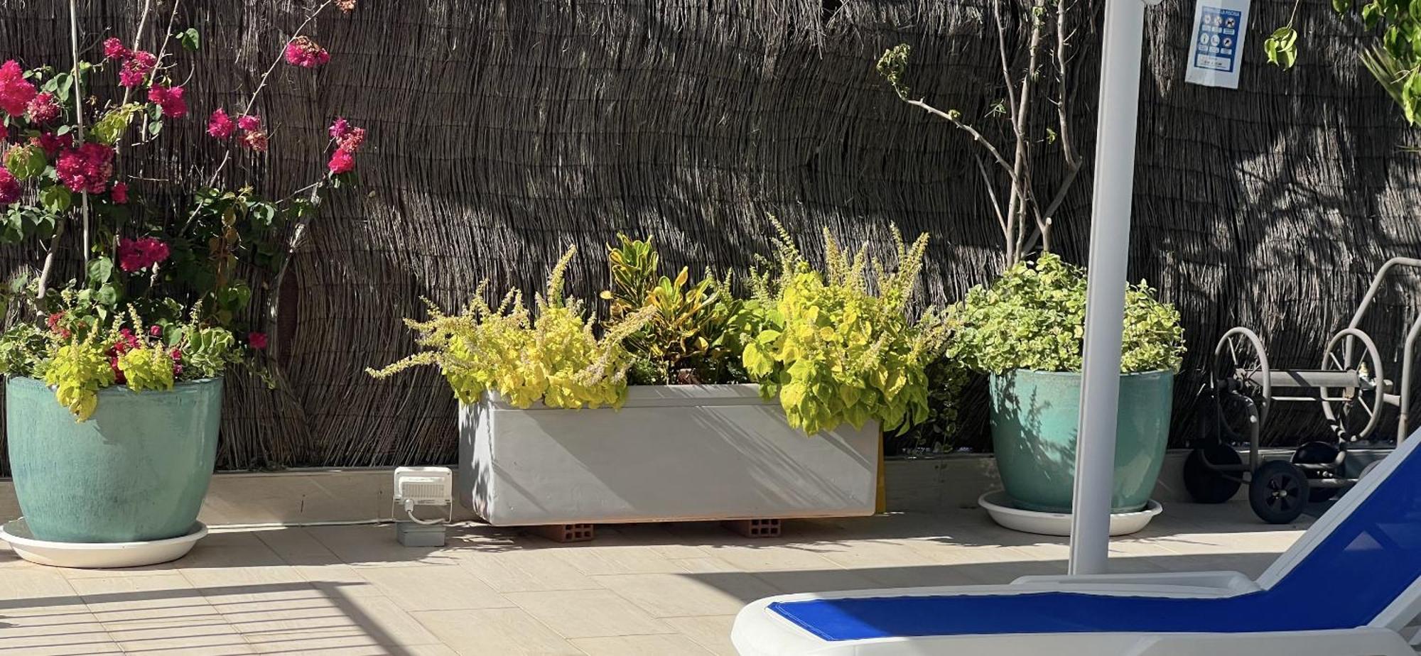 Ancla Real Apartamentos Loft إل بويرتو دي سانتا ماريا المظهر الخارجي الصورة