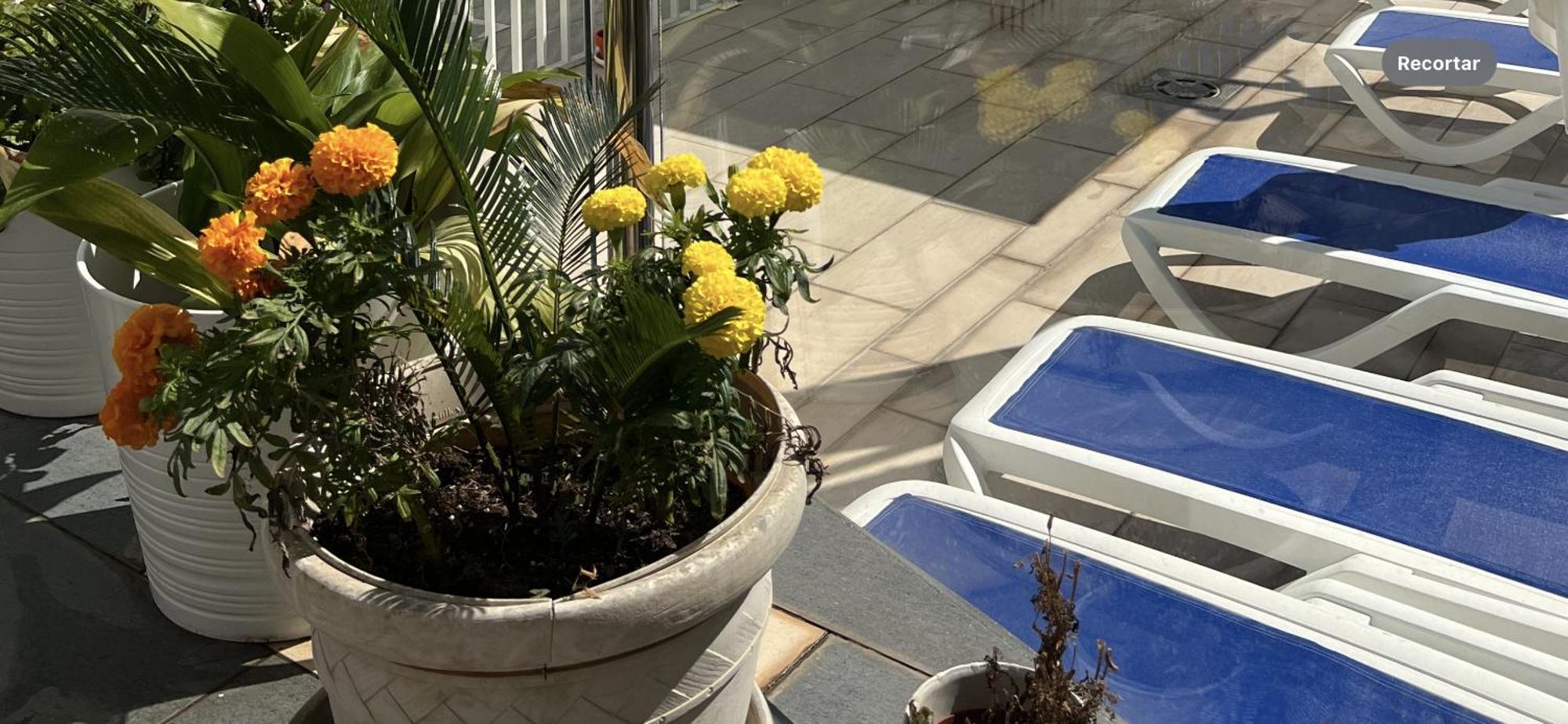 Ancla Real Apartamentos Loft إل بويرتو دي سانتا ماريا المظهر الخارجي الصورة