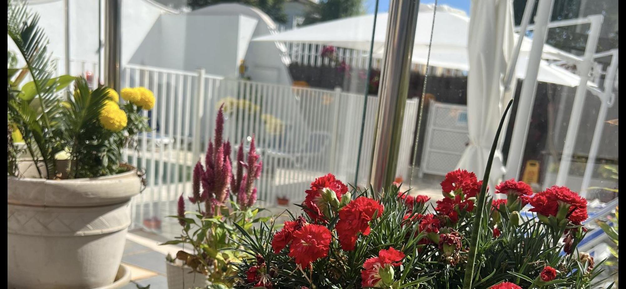 Ancla Real Apartamentos Loft إل بويرتو دي سانتا ماريا المظهر الخارجي الصورة