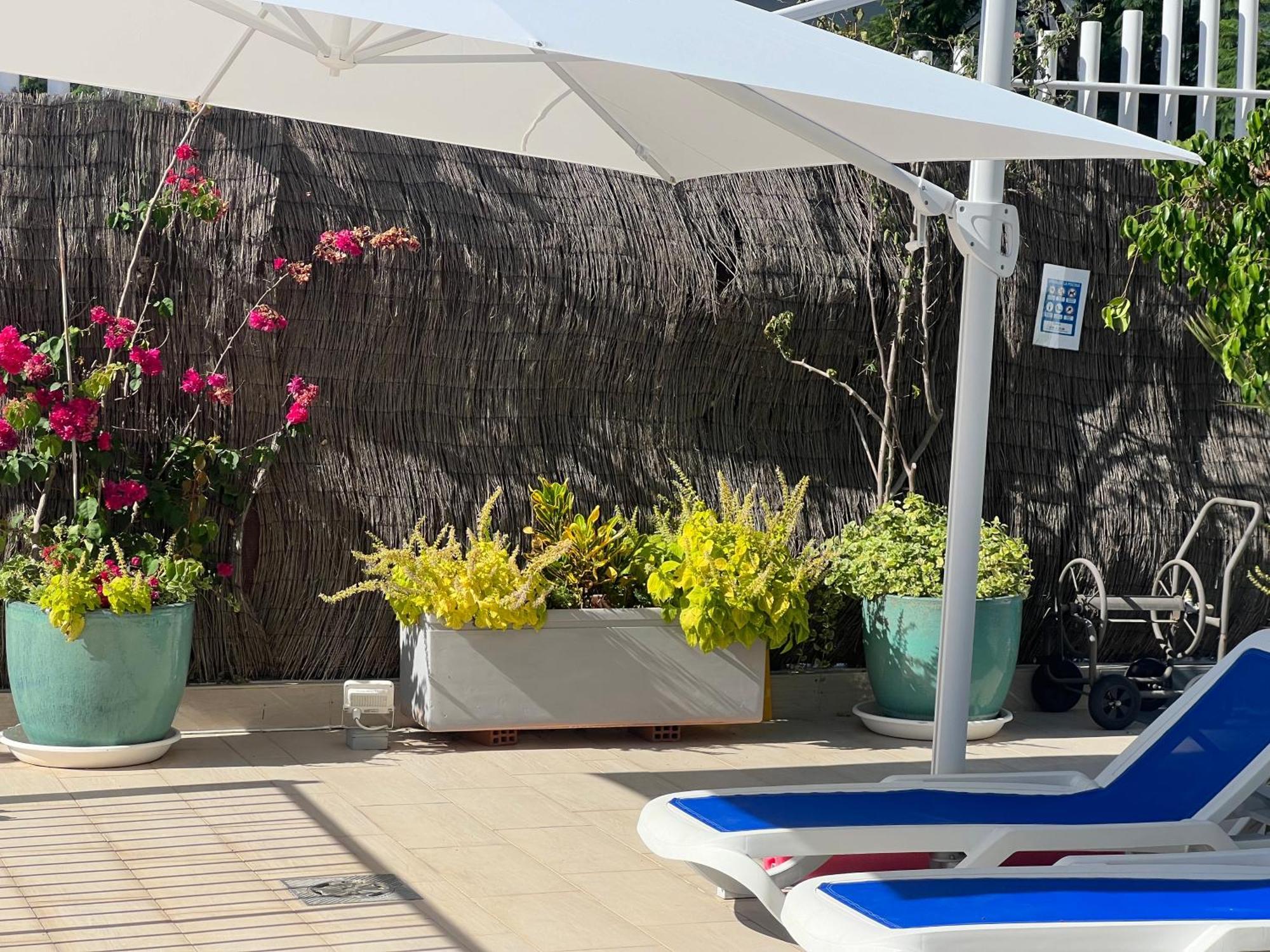 Ancla Real Apartamentos Loft إل بويرتو دي سانتا ماريا المظهر الخارجي الصورة
