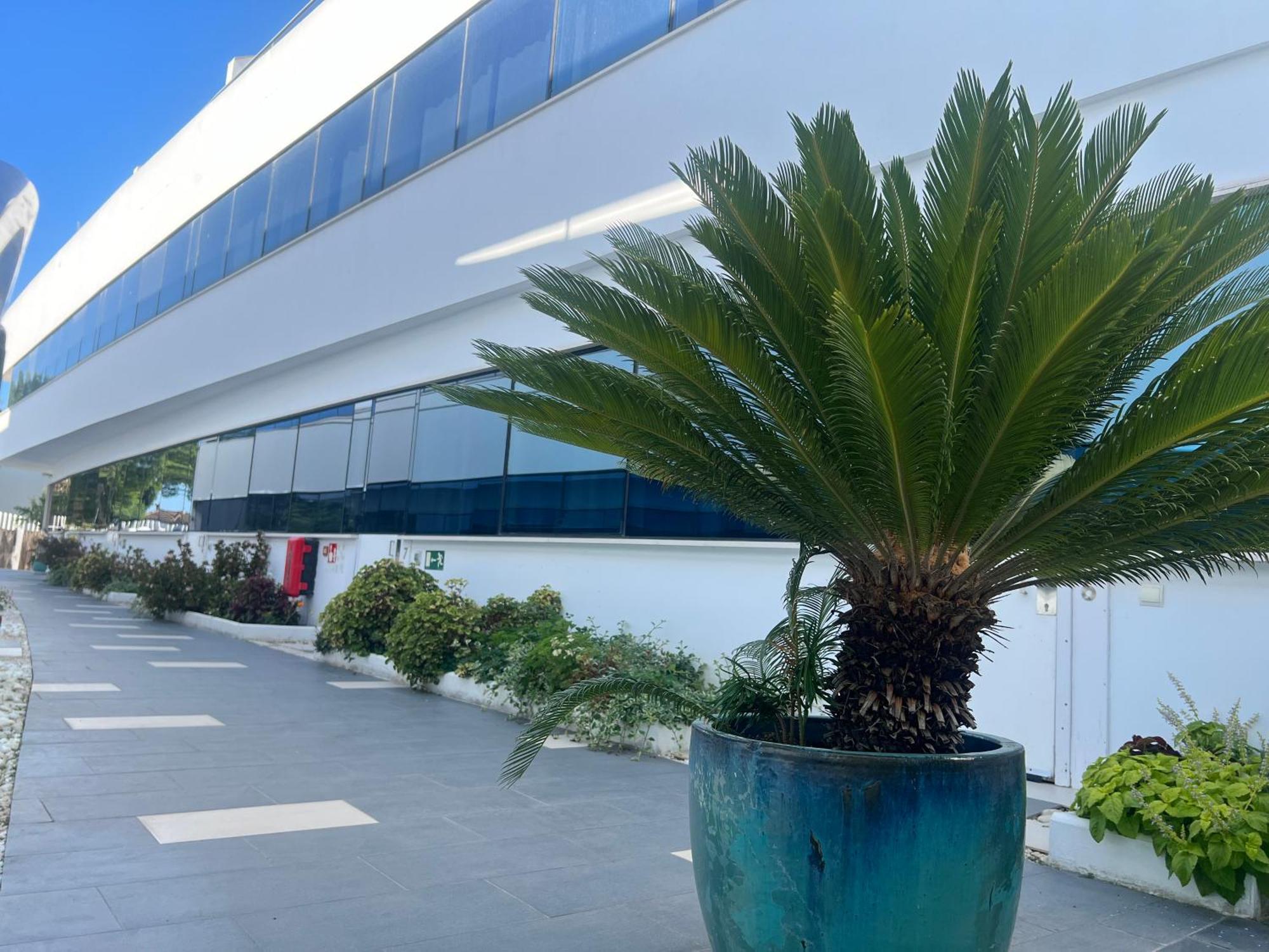 Ancla Real Apartamentos Loft إل بويرتو دي سانتا ماريا المظهر الخارجي الصورة