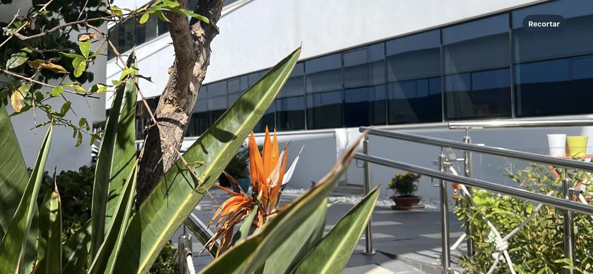 Ancla Real Apartamentos Loft إل بويرتو دي سانتا ماريا المظهر الخارجي الصورة
