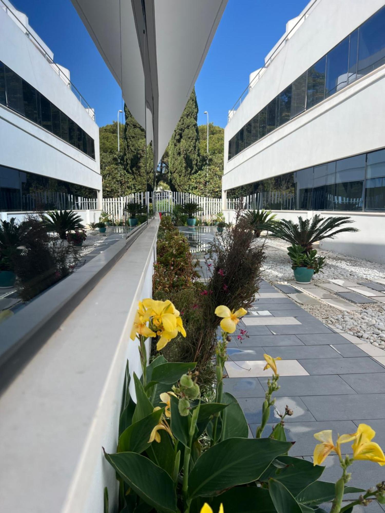 Ancla Real Apartamentos Loft إل بويرتو دي سانتا ماريا المظهر الخارجي الصورة